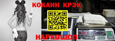 молекула духа Кингисепп
