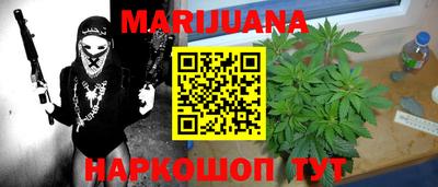 молекула духа Кингисепп