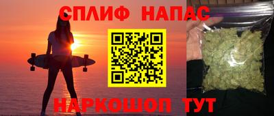 молекула духа Кингисепп
