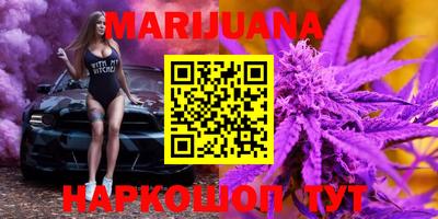 молекула духа Кингисепп