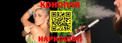 молекула духа Кингисепп