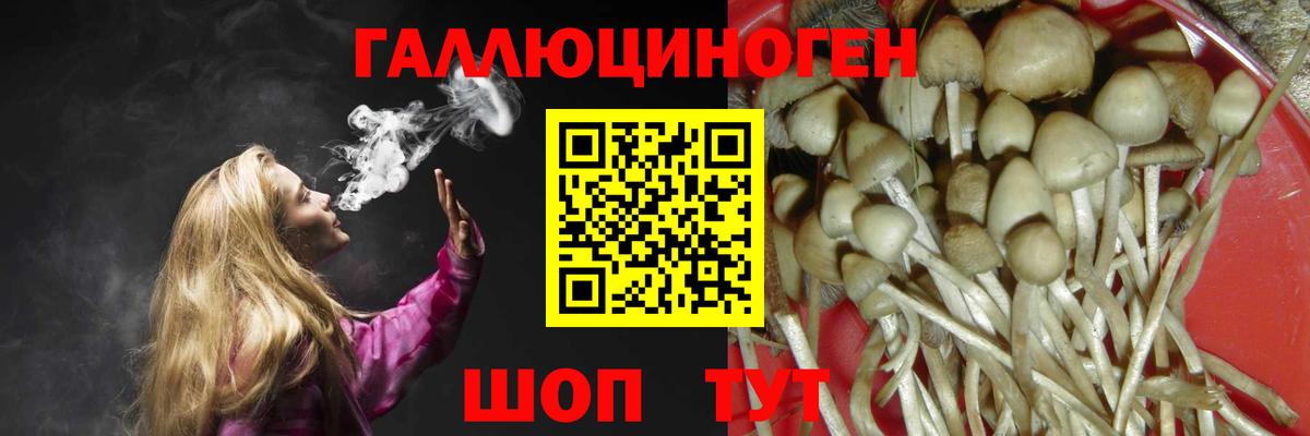 Псилоцибиновые грибы мицелий  Вход с VPN  Кстово 